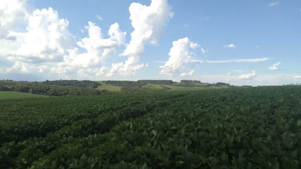 Fazenda à venda de 97 ha em São Miguel Arcanjo, SP, Brasil