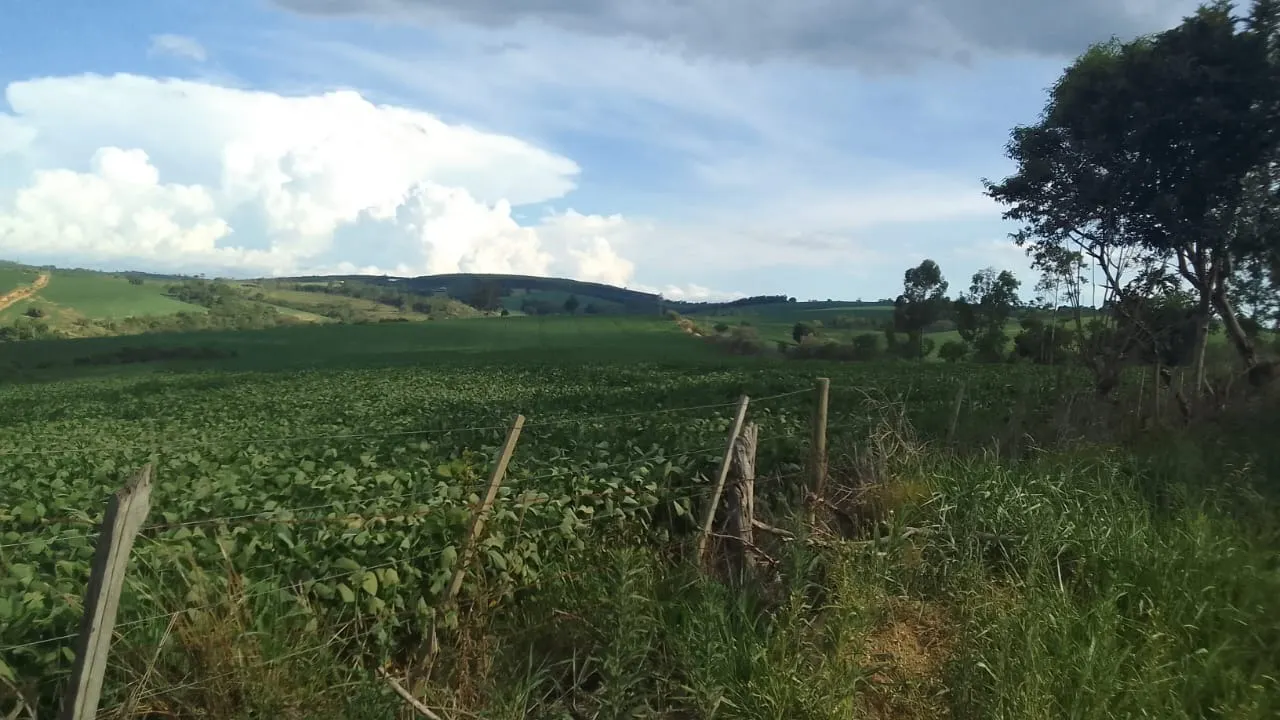 Fazenda à venda de 97 ha em São Miguel Arcanjo, SP, Brasil