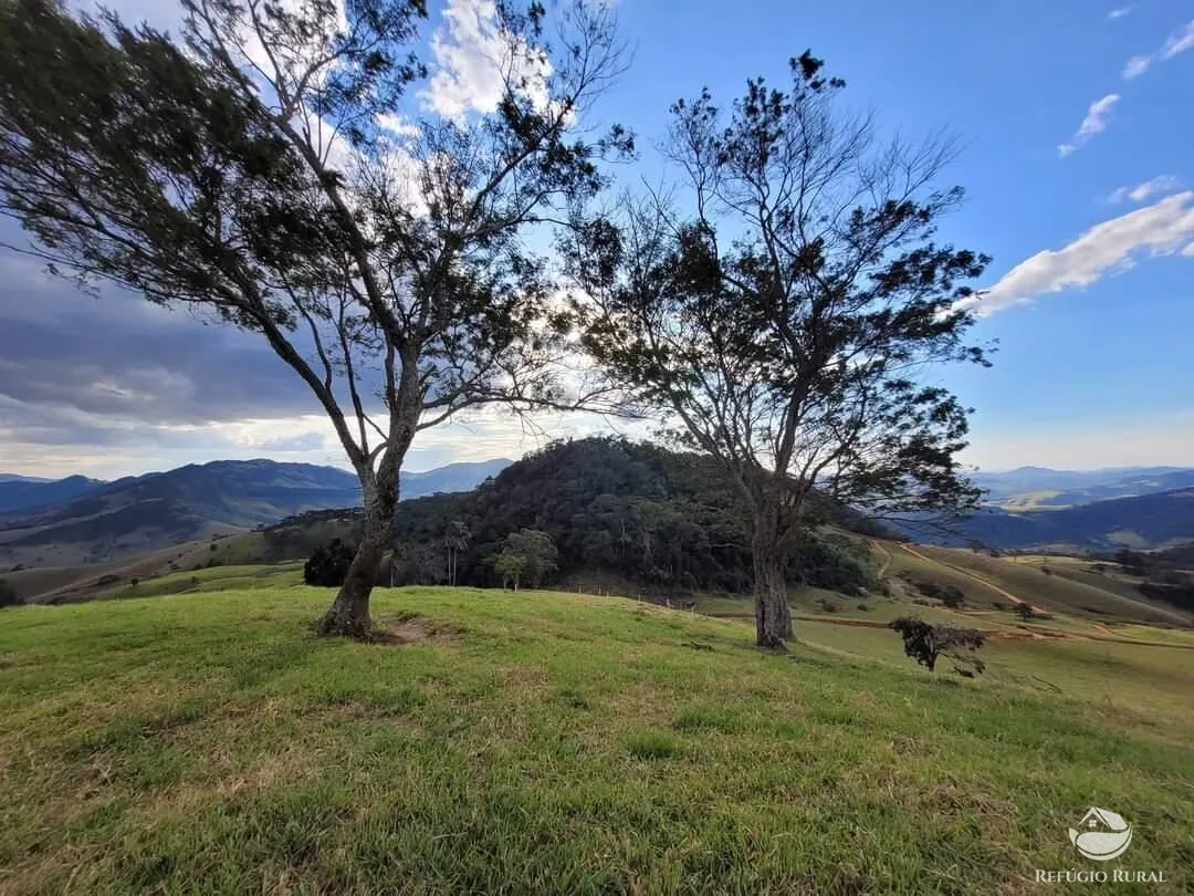 Terreno à venda de 2 ha em São Bento do Sapucaí, SP, Brasil