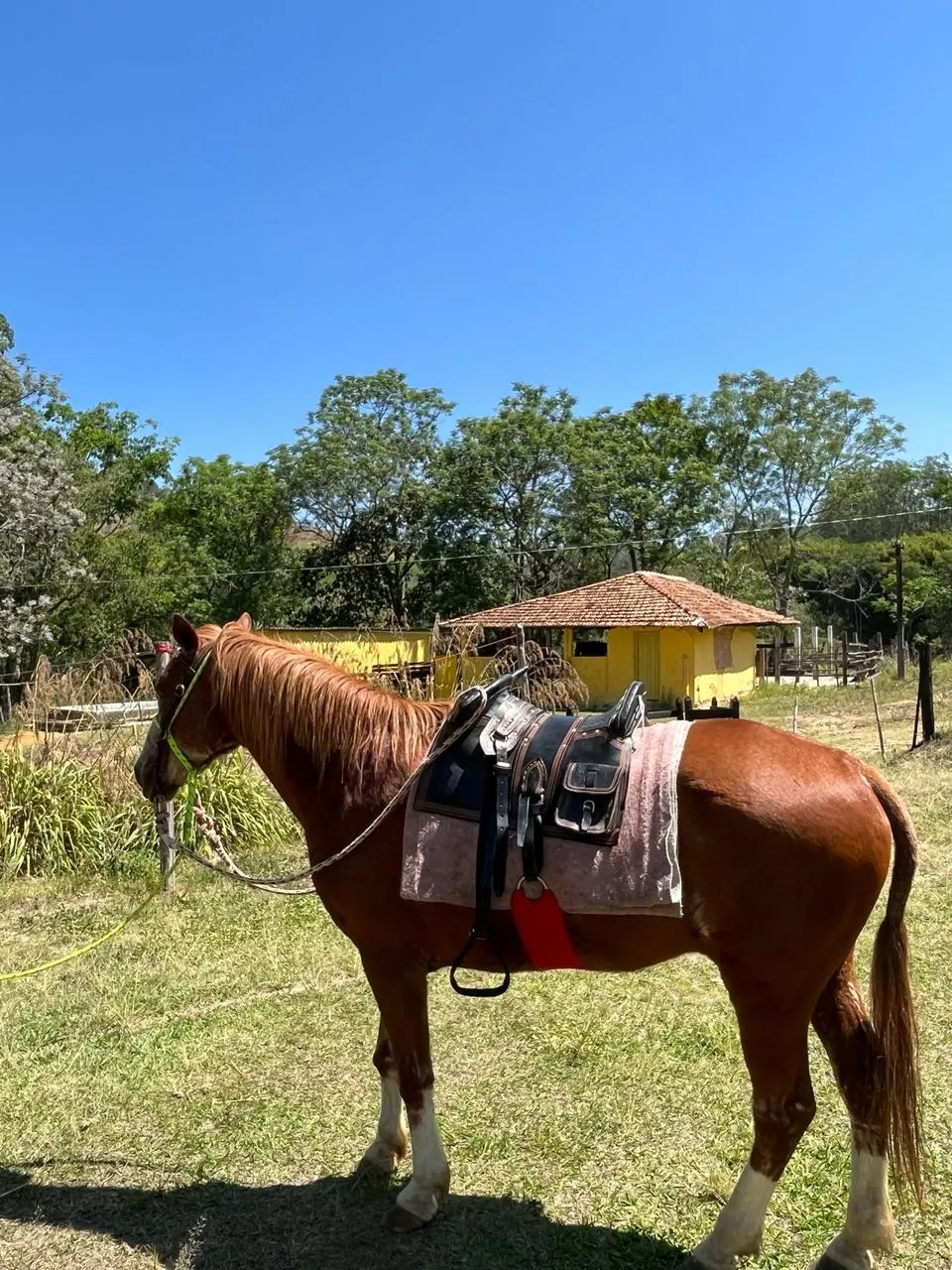 Fazenda à venda de 145 ha em Lorena, SP, Brasil