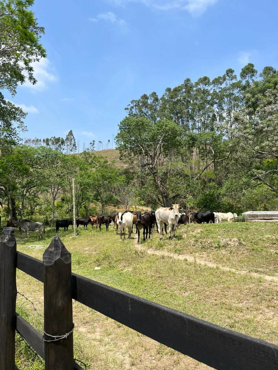 Fazenda à venda de 145 ha em Lorena, SP, Brasil