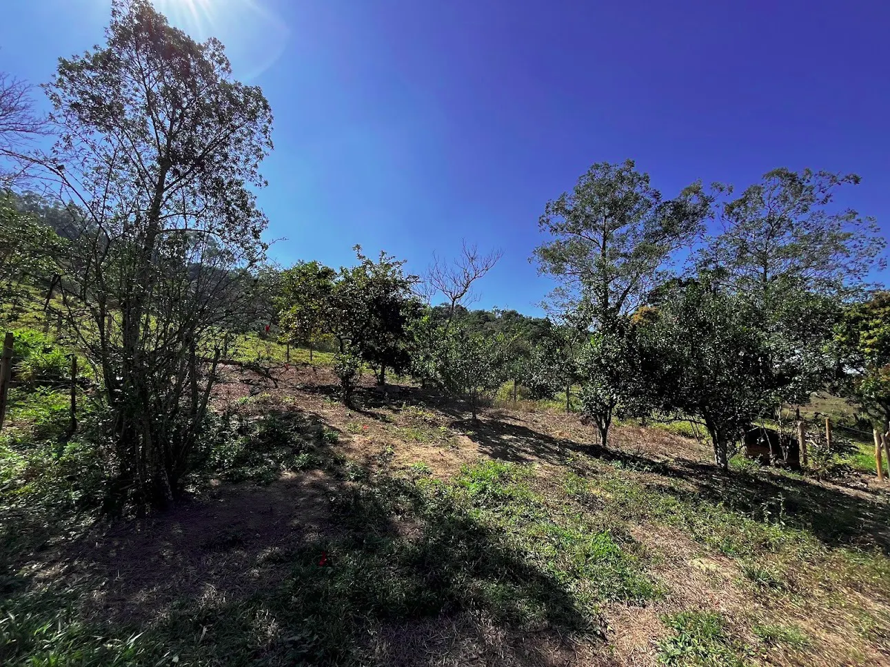 Fazenda à venda de 145 ha em Lorena, SP, Brasil