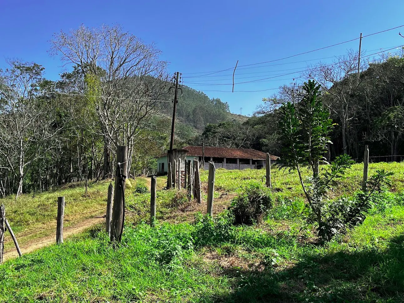 Fazenda à venda de 145 ha em Lorena, SP, Brasil
