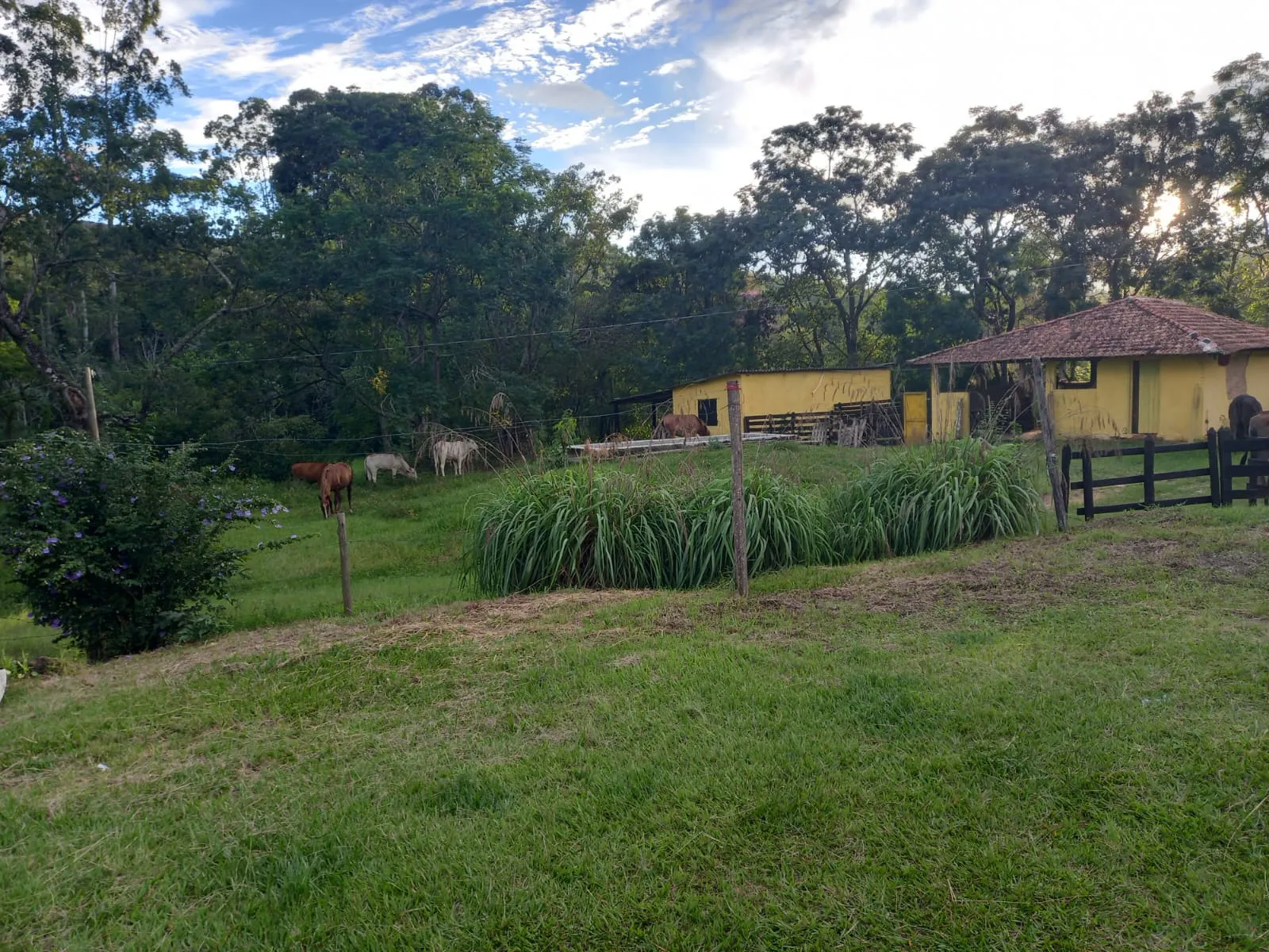 Fazenda à venda de 145 ha em Lorena, SP, Brasil