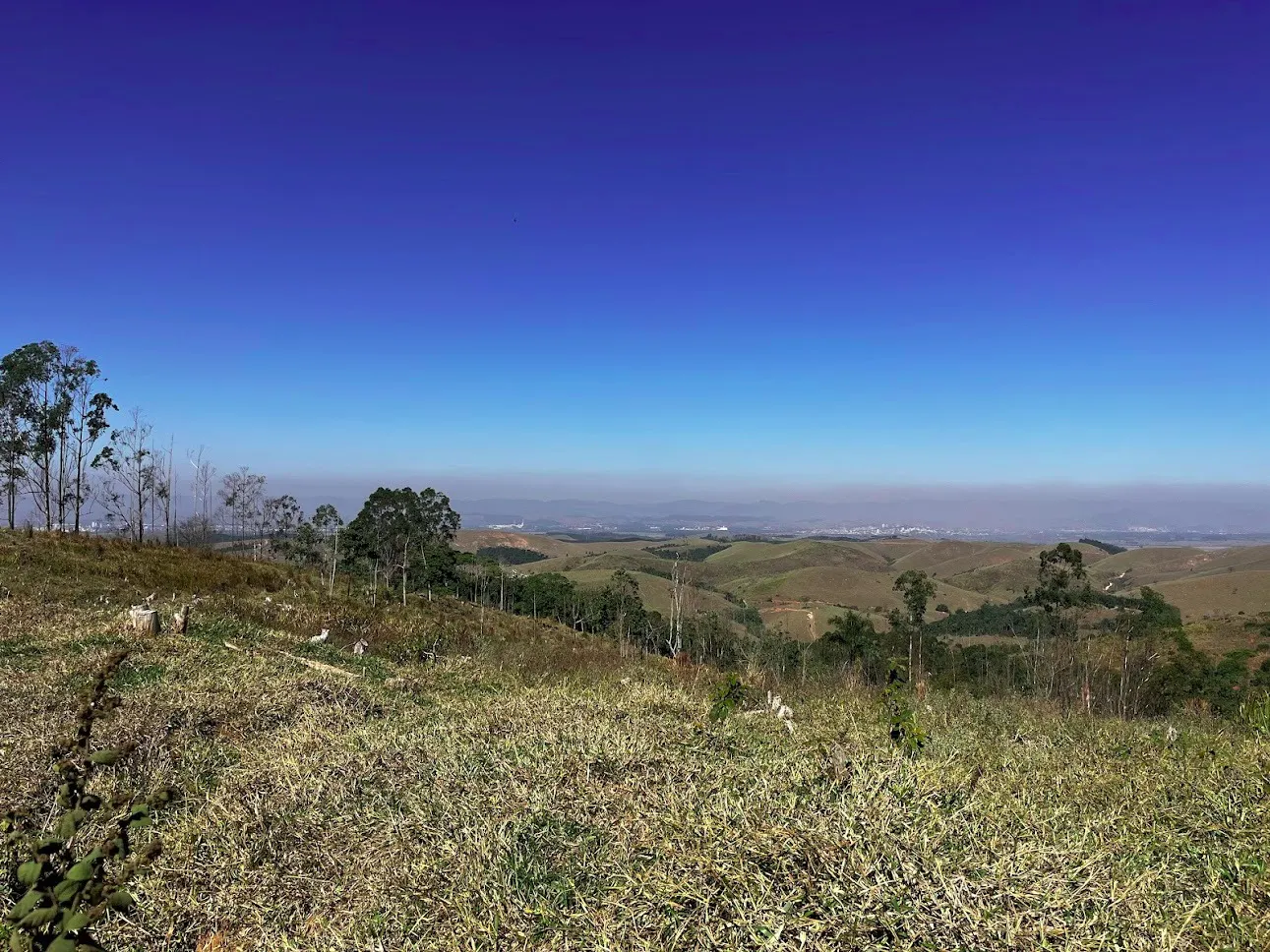 Fazenda à venda de 145 ha em Lorena, SP, Brasil