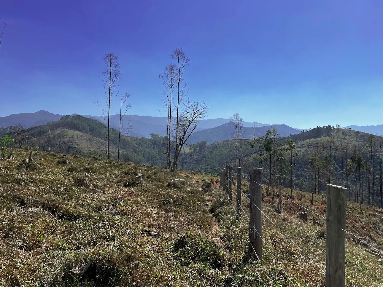 Fazenda à venda de 145 ha em Lorena, SP, Brasil