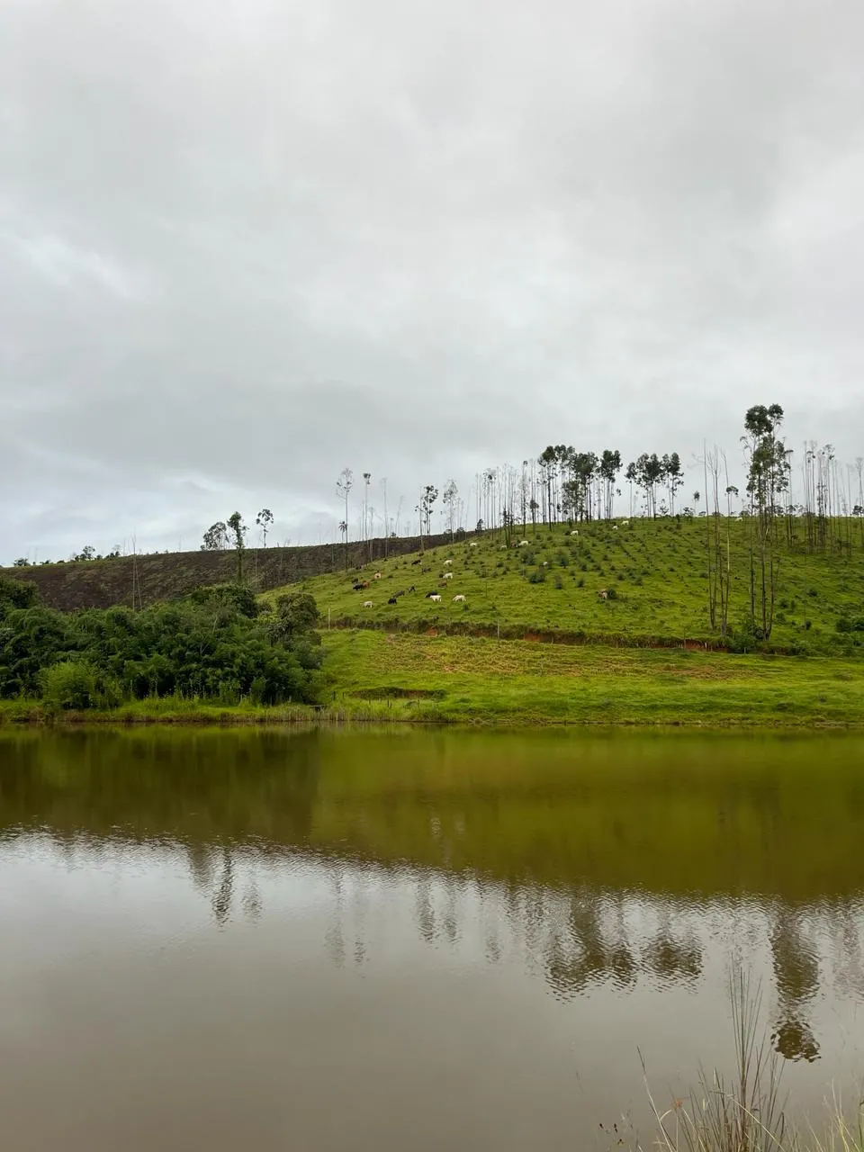 Fazenda à venda de 145 ha em Lorena, SP, Brasil