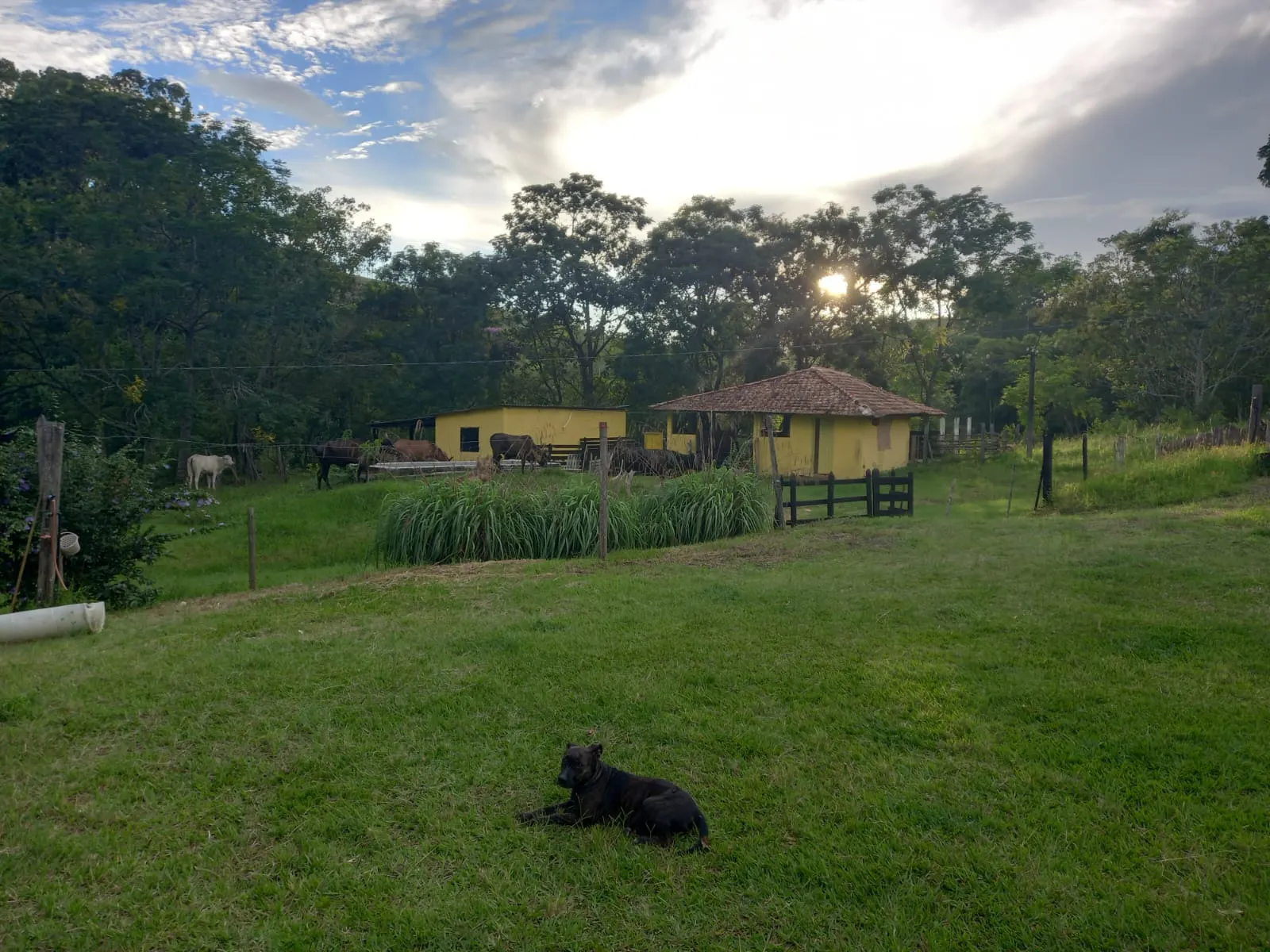 Fazenda à venda de 145 ha em Lorena, SP, Brasil