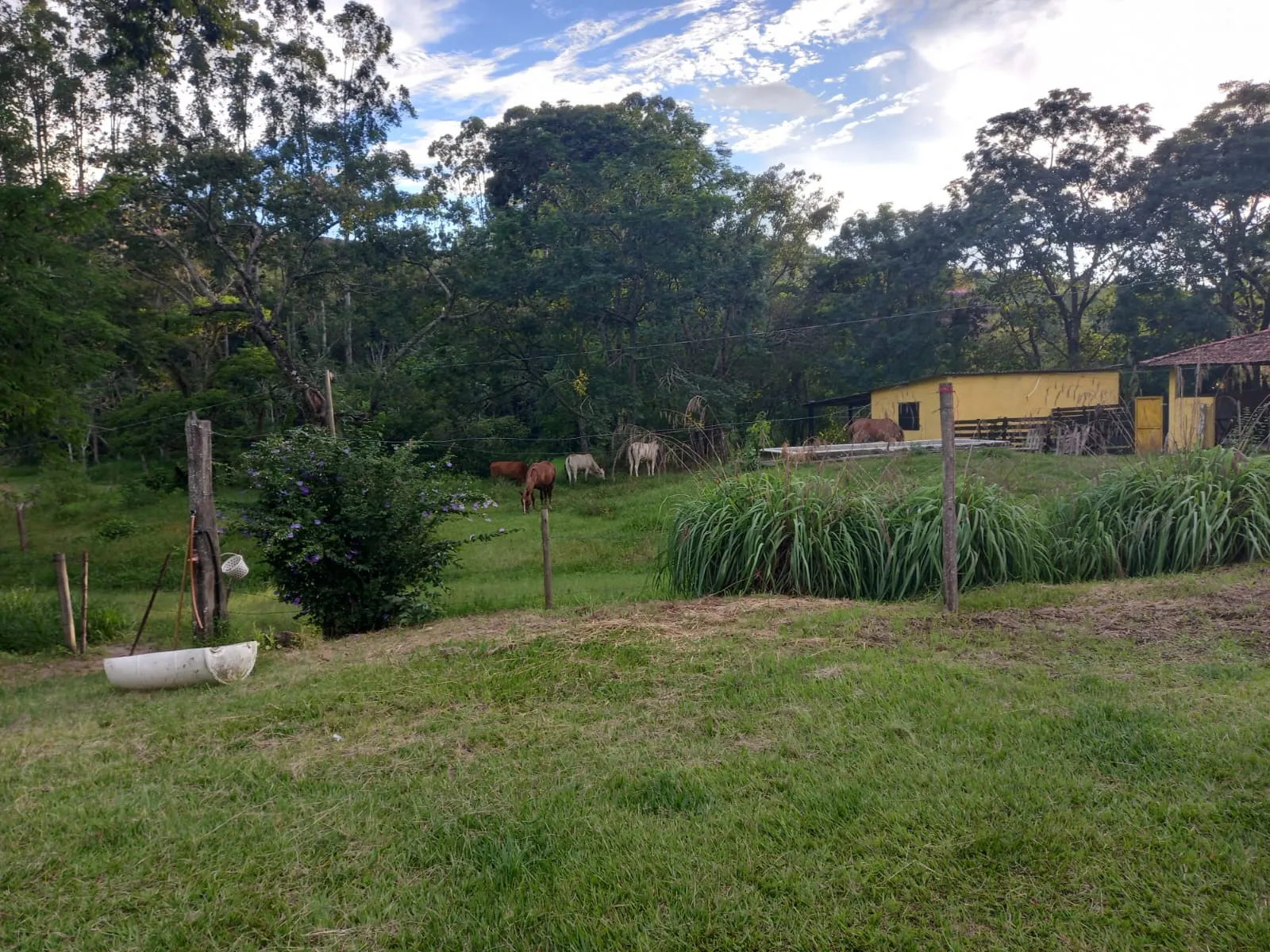 Fazenda à venda de 145 ha em Lorena, SP, Brasil
