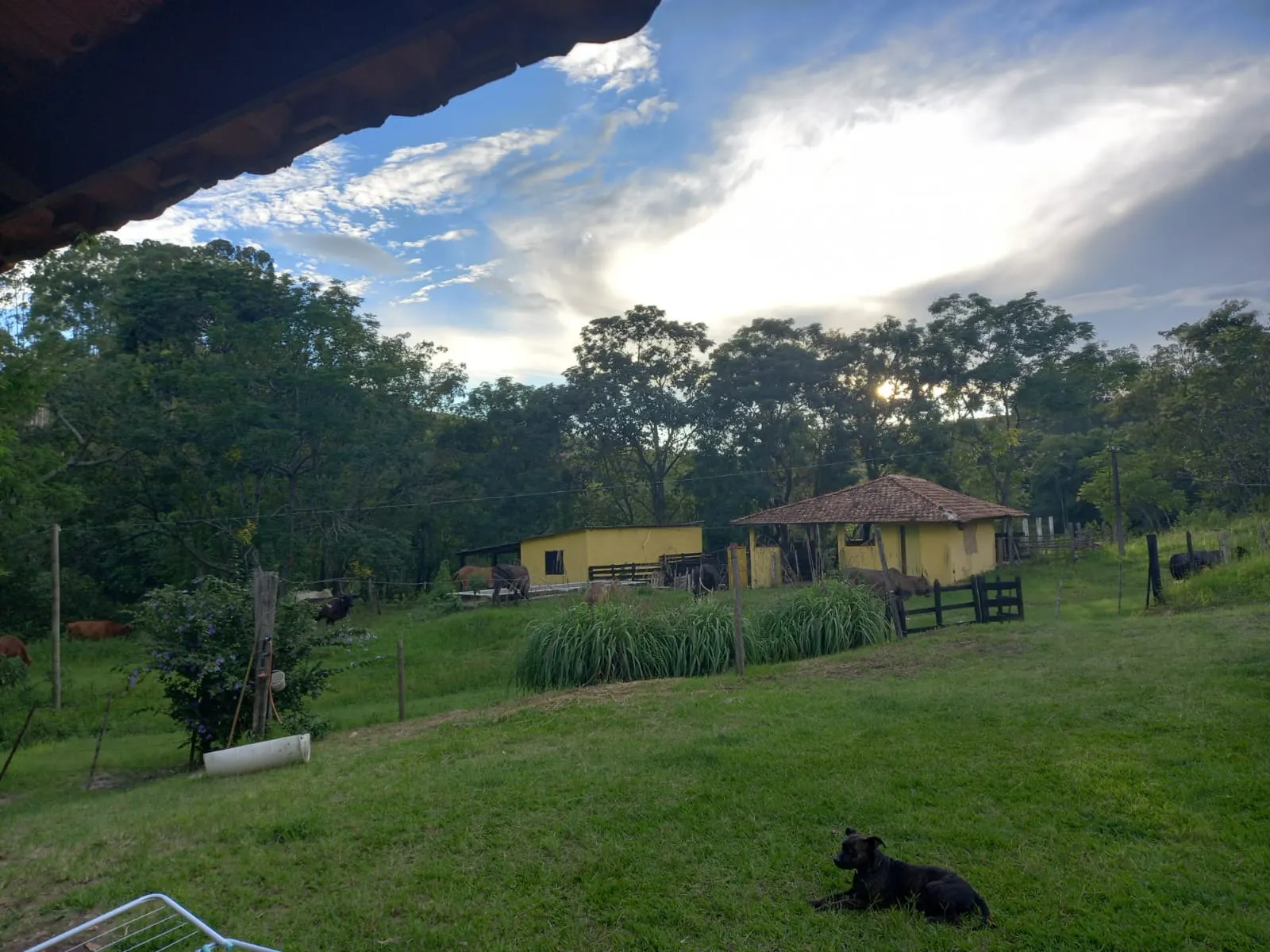 Fazenda à venda de 145 ha em Lorena, SP, Brasil