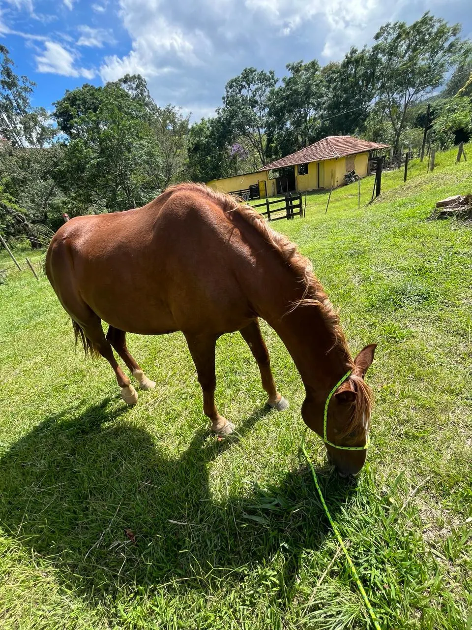 Fazenda à venda de 145 ha em Lorena, SP, Brasil