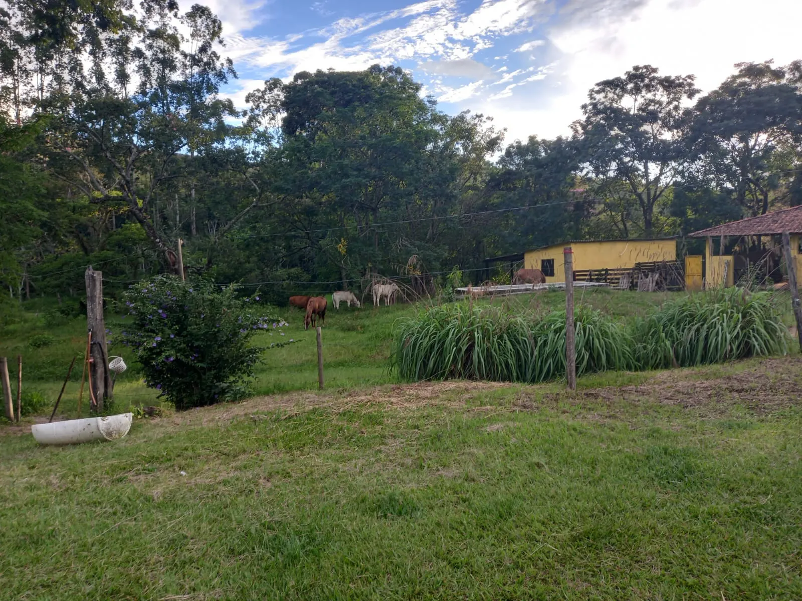 Fazenda à venda de 145 ha em Lorena, SP, Brasil