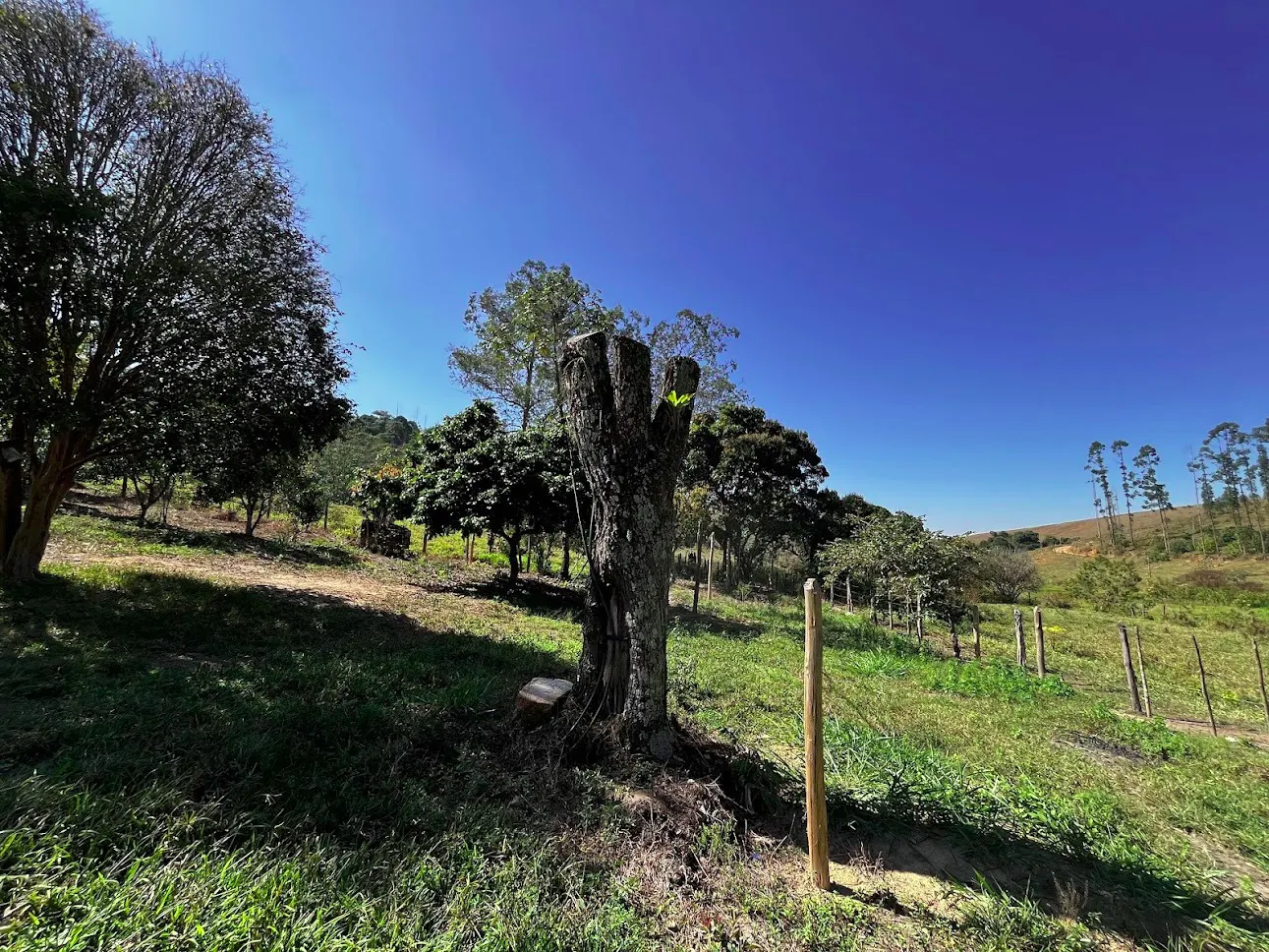 Fazenda à venda de 145 ha em Lorena, SP, Brasil
