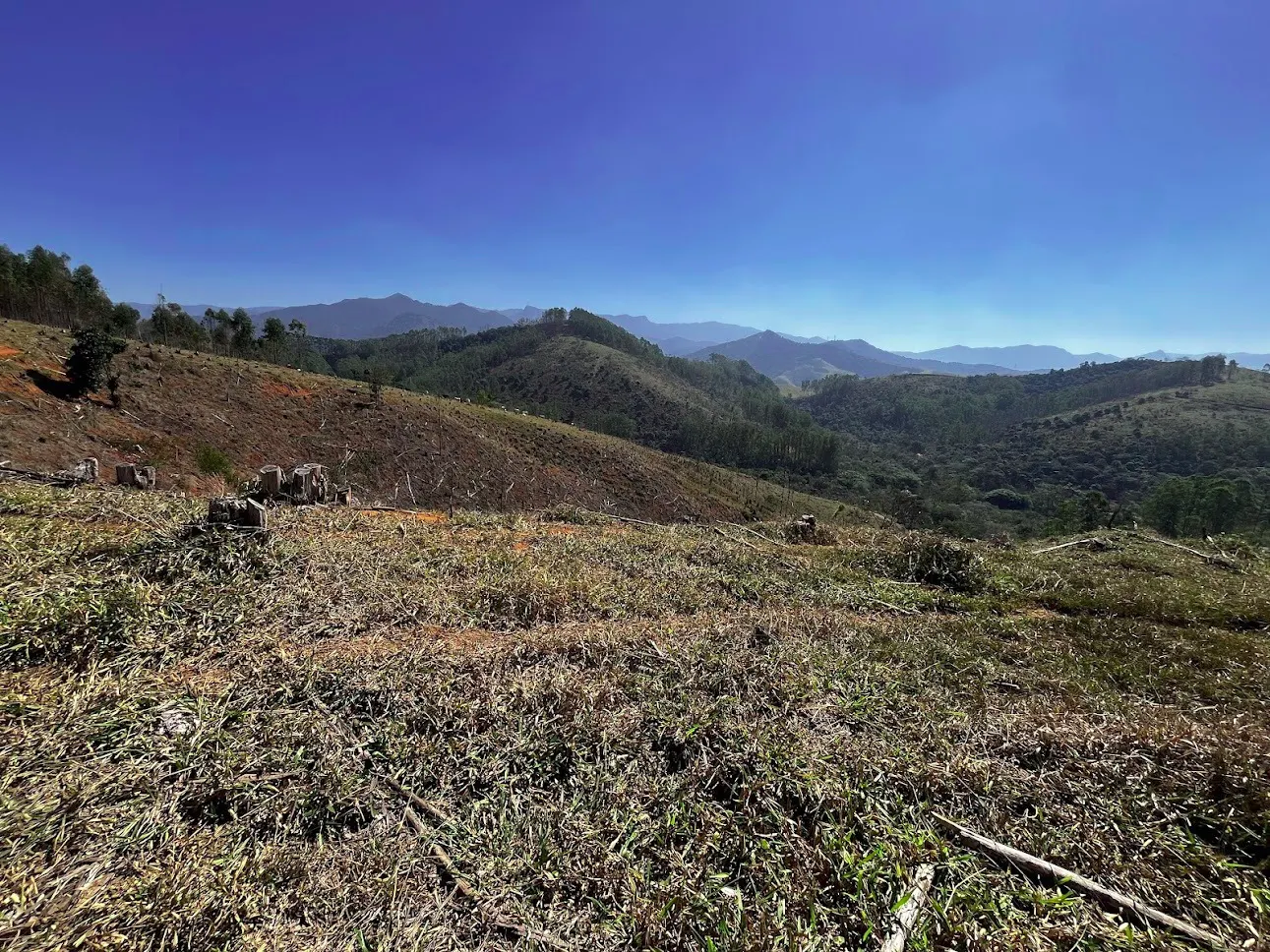 Fazenda à venda de 145 ha em Lorena, SP, Brasil