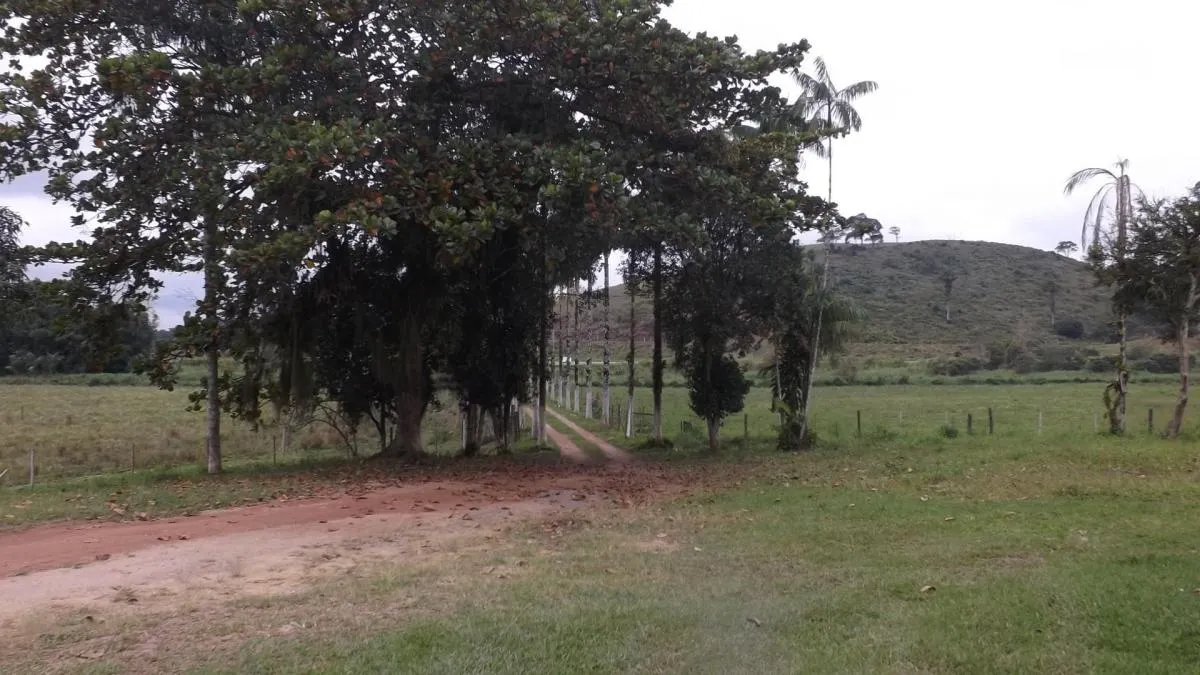 Fazenda à venda de 526 ha em Iguape, SP, Brasil