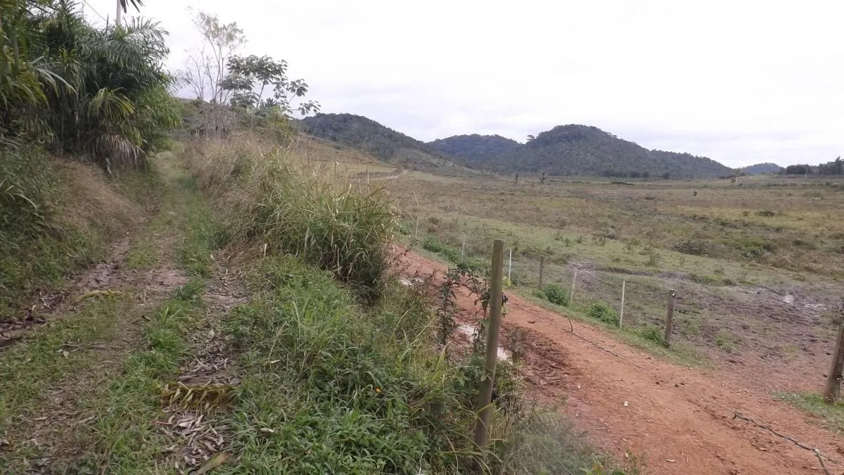 Fazenda à venda de 526 ha em Iguape, SP, Brasil