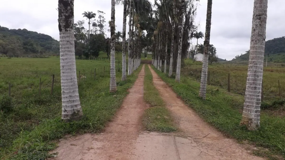 Fazenda à venda de 526 ha em Iguape, SP, Brasil