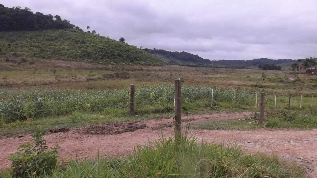 Fazenda à venda de 526 ha em Iguape, SP, Brasil