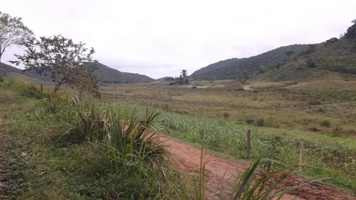 Fazenda à venda de 526 ha em Iguape, SP, Brasil