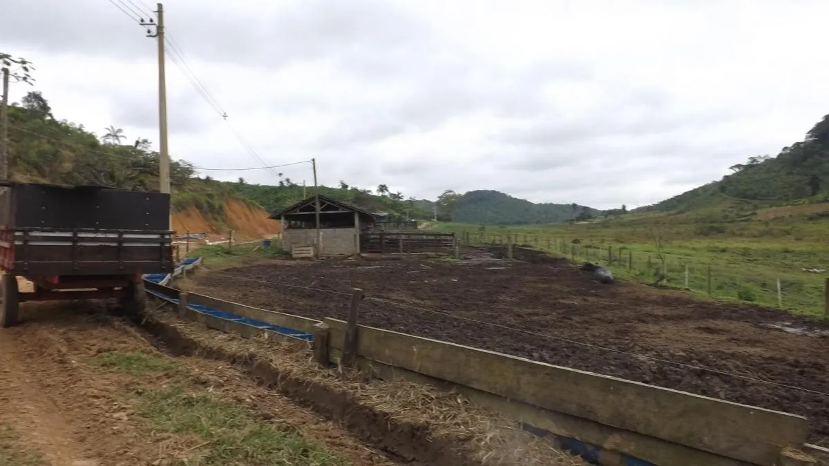 Fazenda à venda de 526 ha em Iguape, SP, Brasil