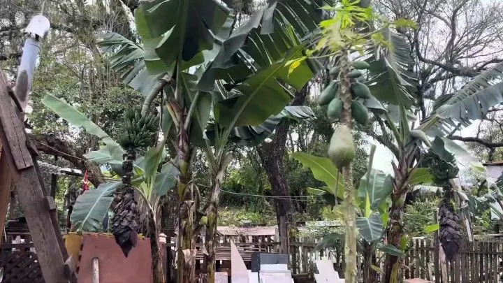 Chácara à venda de 1.500 m² em Parobé, RS, Brasil