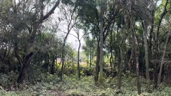 Country home for sale of 1,500 m² in Parobé, RS, Brazil