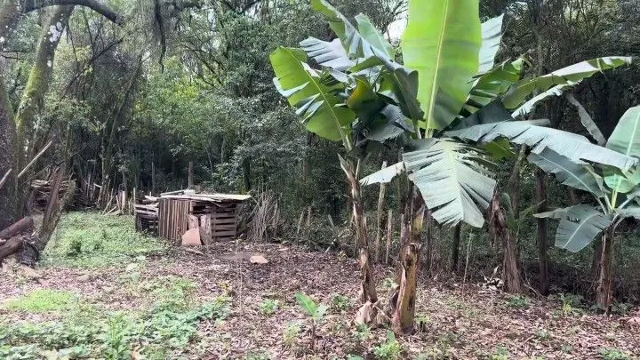 Country home for sale of 1,500 m² in Parobé, RS, Brazil