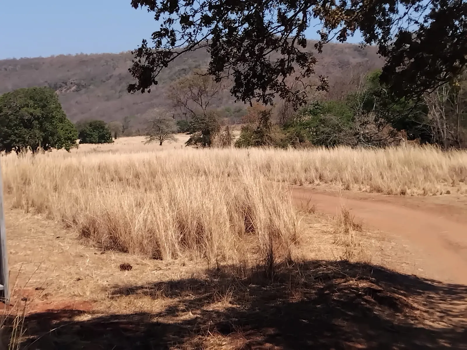 Fazenda à venda de 1.500 ha em Riachão das Neves, BA, Brasil