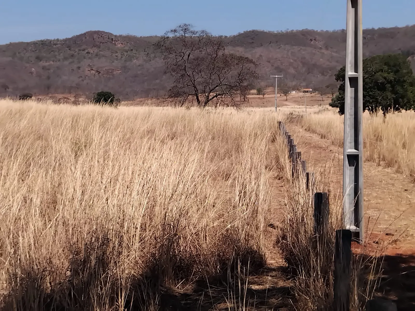 Fazenda à venda de 1.500 ha em Riachão das Neves, BA, Brasil