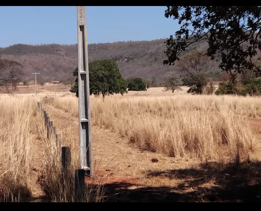 Fazenda à venda de 1.500 ha em Riachão das Neves, BA, Brasil