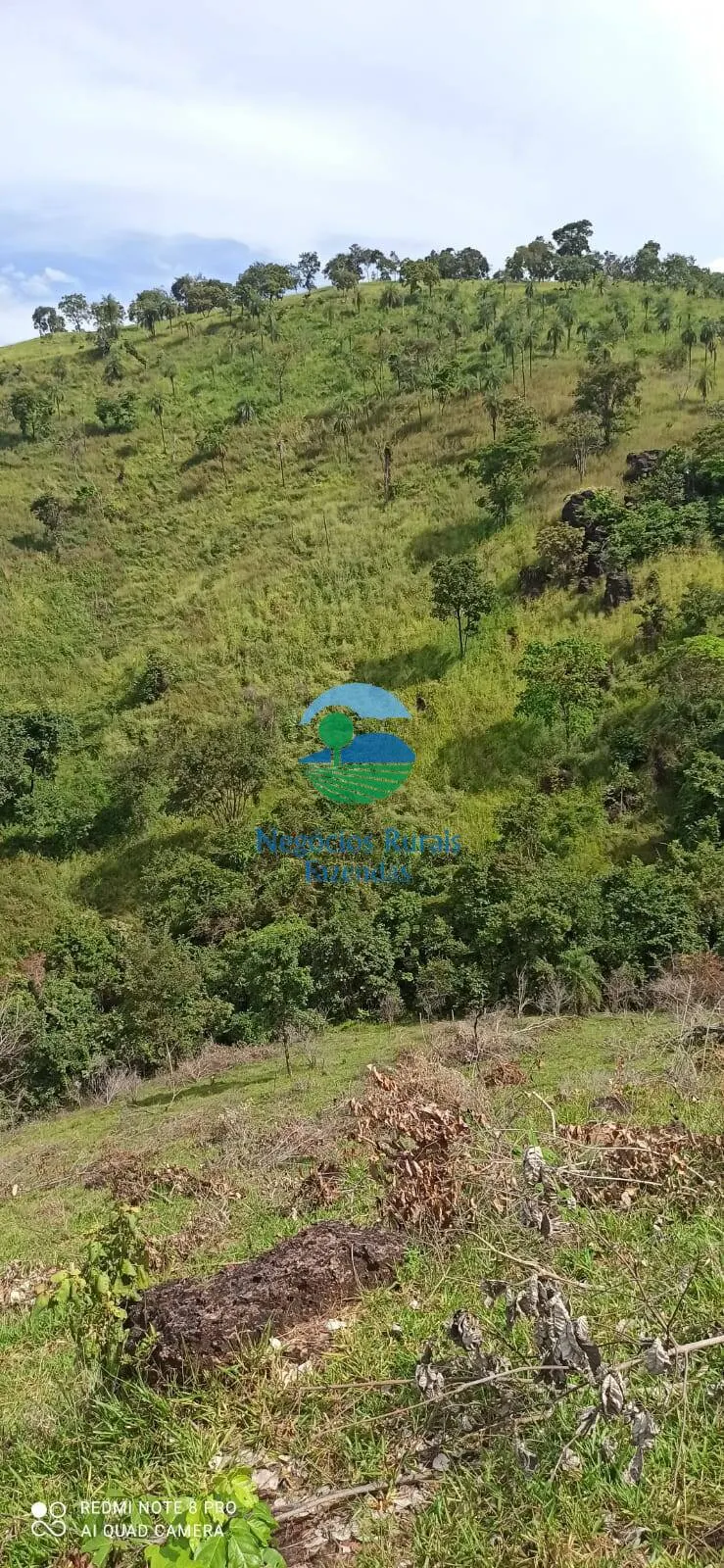 Fazenda à venda de 343 ha em Campinorte, GO, Brasil