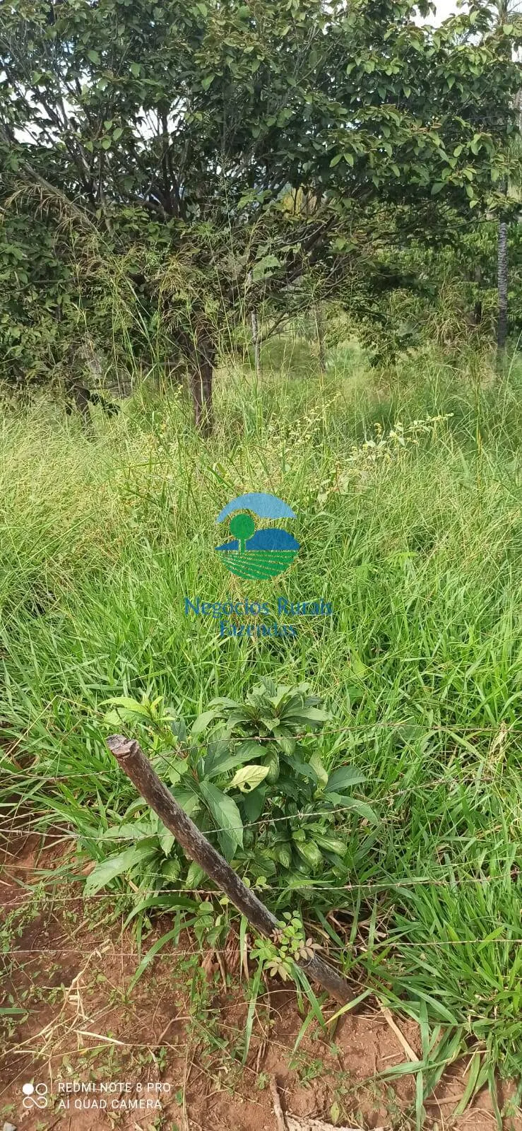 Fazenda à venda de 343 ha em Campinorte, GO, Brasil