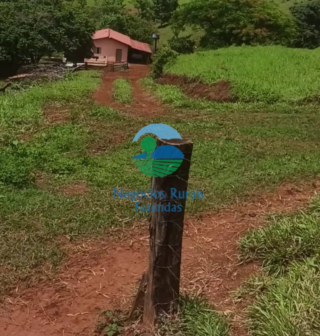 Fazenda à venda de 343 ha em Campinorte, GO, Brasil