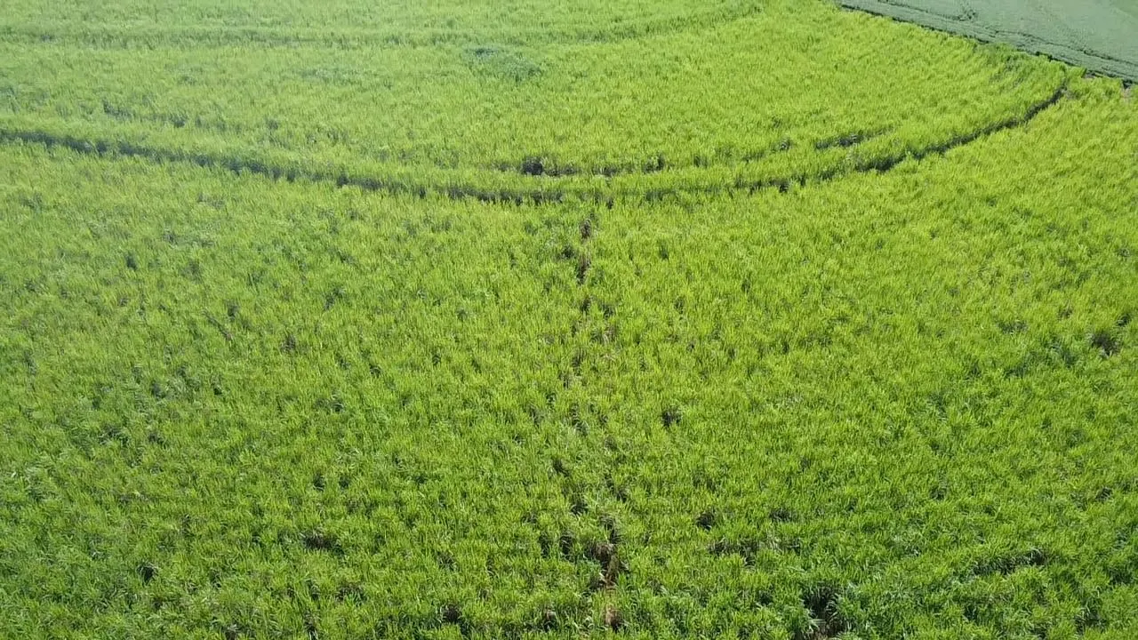 Fazenda à venda de 303 ha em Itaí, SP, Brasil