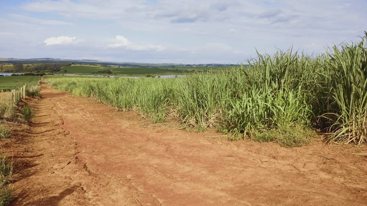 Fazenda à venda de 303 ha em Itaí, SP, Brasil
