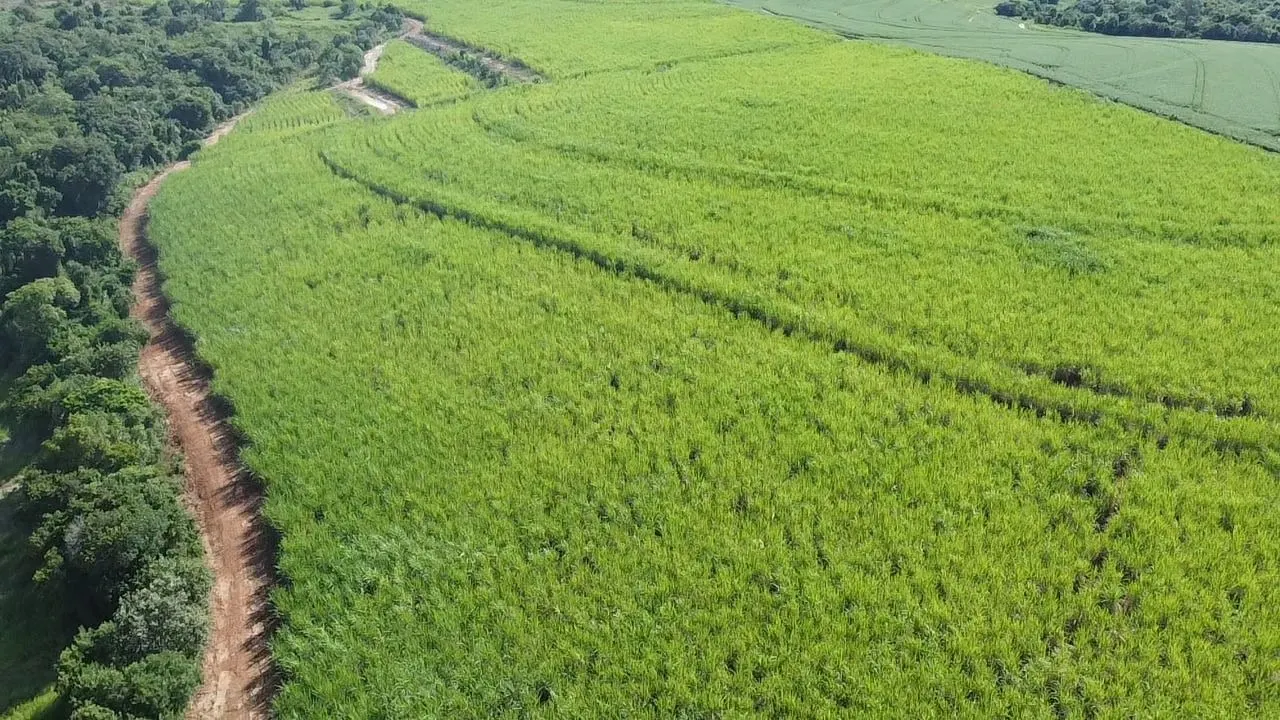 Fazenda à venda de 303 ha em Itaí, SP, Brasil