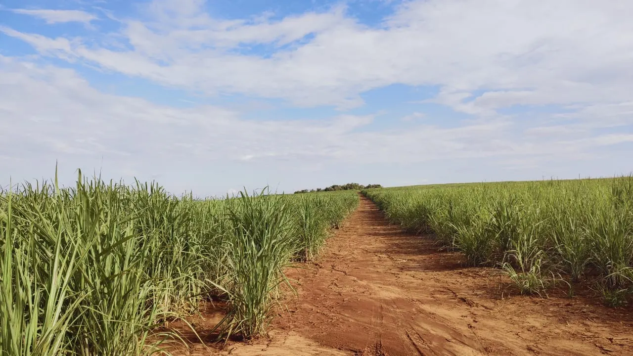 Fazenda à venda de 303 ha em Itaí, SP, Brasil
