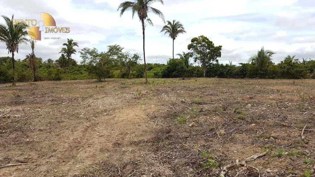 Fazenda à venda de 2.850 ha em Nova Brasilândia, MT, Brasil