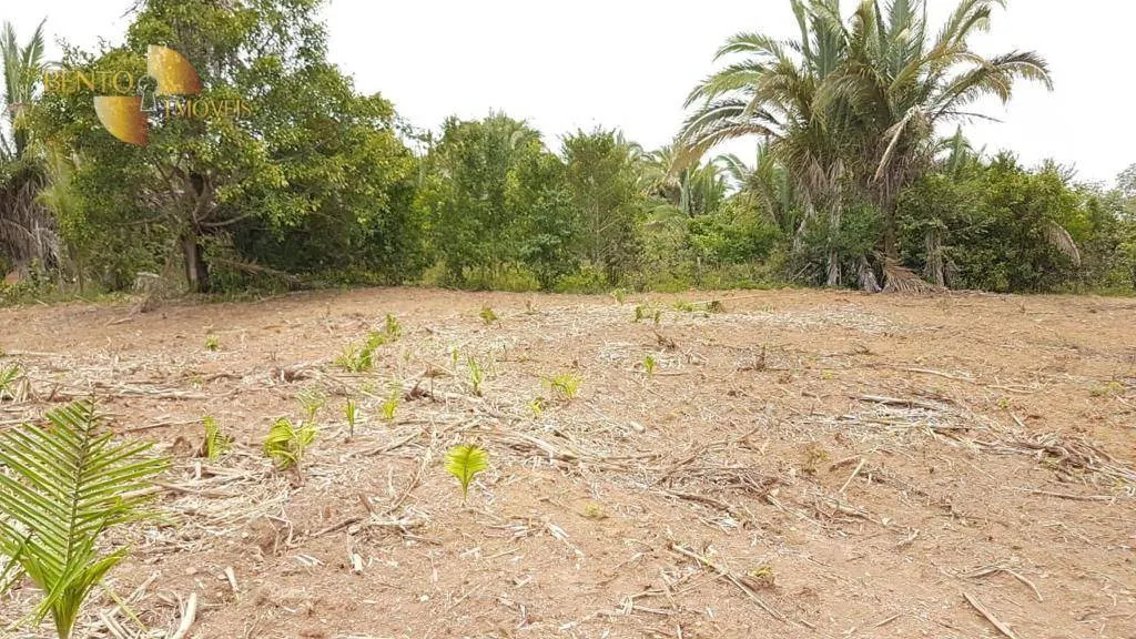 Fazenda à venda de 2.850 ha em Nova Brasilândia, MT, Brasil