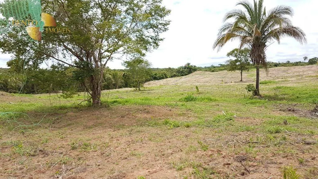 Fazenda à venda de 2.850 ha em Nova Brasilândia, MT, Brasil