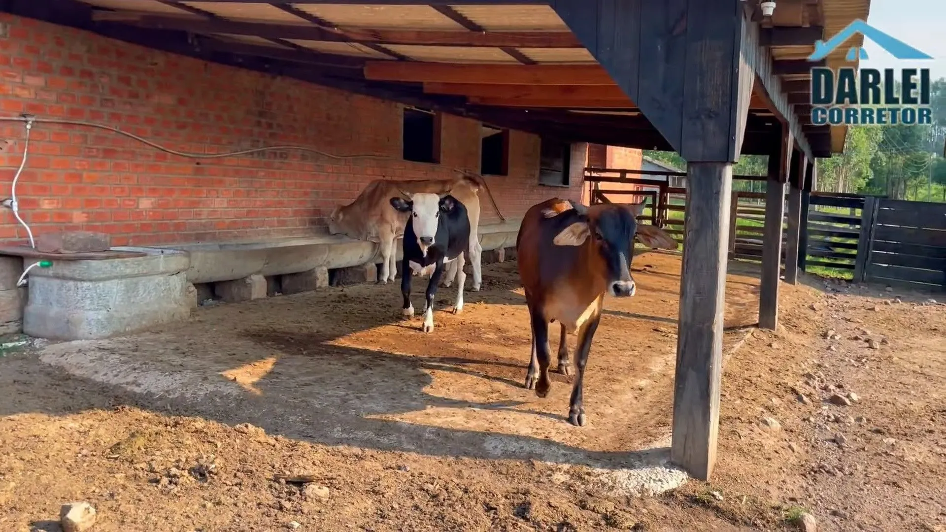 Chácara à venda de 5 ha em Taquara, RS, Brasil