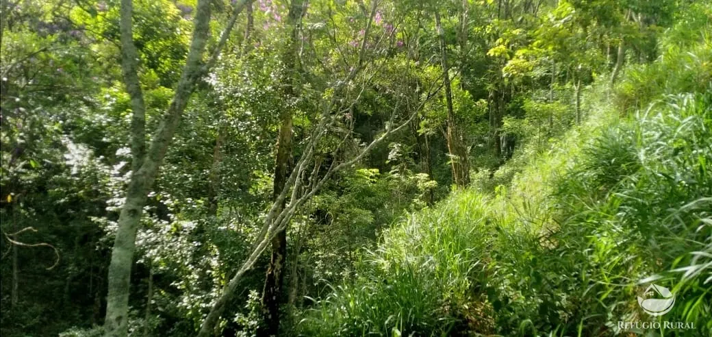 Terreno à venda de 2 ha em Monteiro Lobato, SP, Brasil