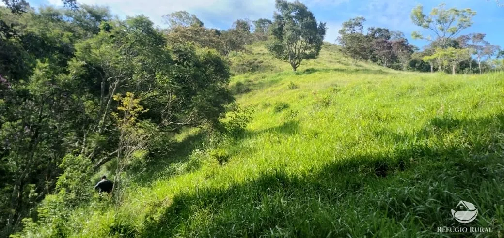 Terreno à venda de 2 ha em Monteiro Lobato, SP, Brasil