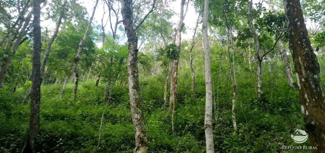 Terreno à venda de 2 ha em Monteiro Lobato, SP, Brasil