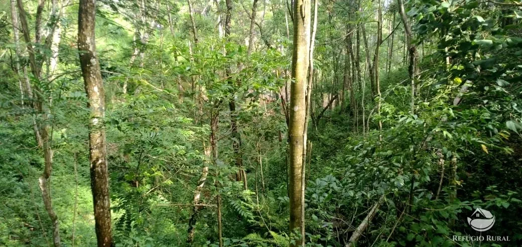 Terreno à venda de 2 ha em Monteiro Lobato, SP, Brasil