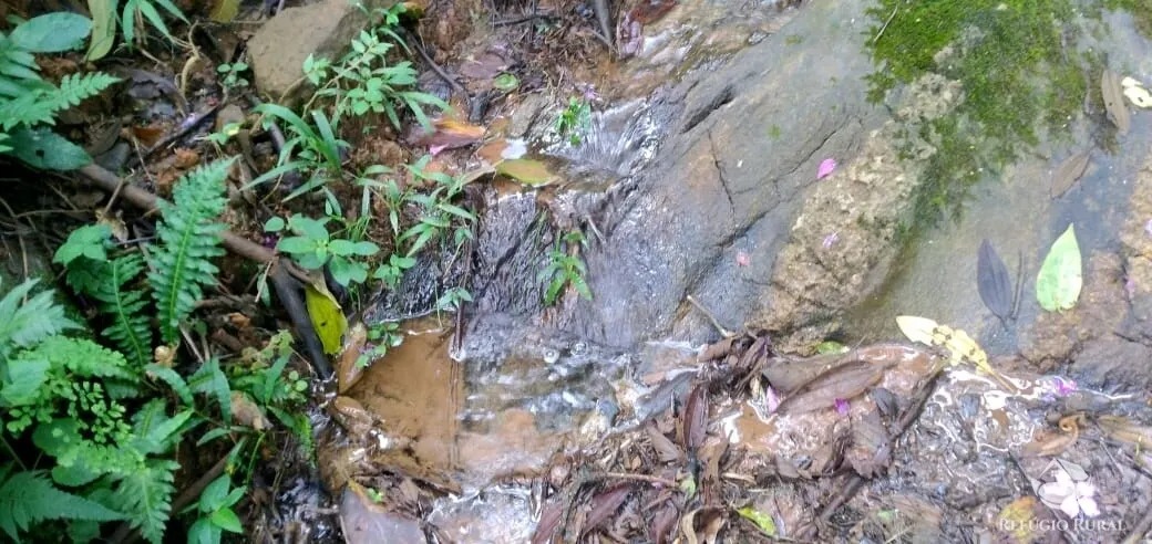 Terreno à venda de 2 ha em Monteiro Lobato, SP, Brasil