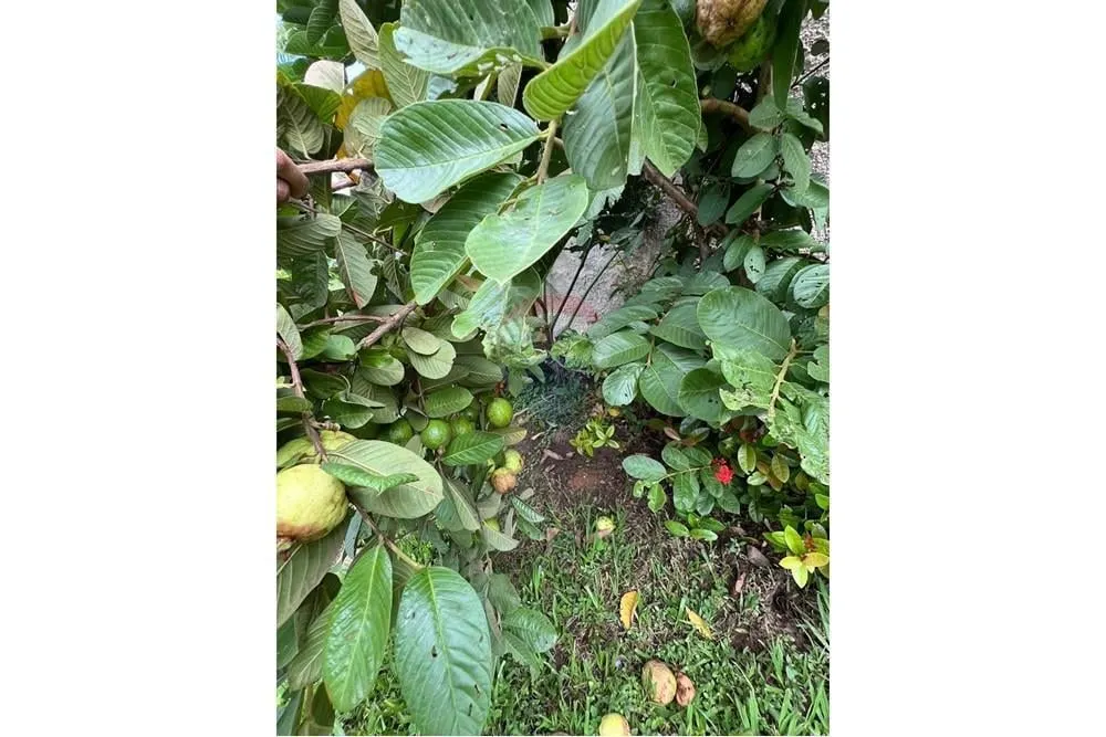 Chácara à venda de 310 m² em Salto, SP, Brasil
