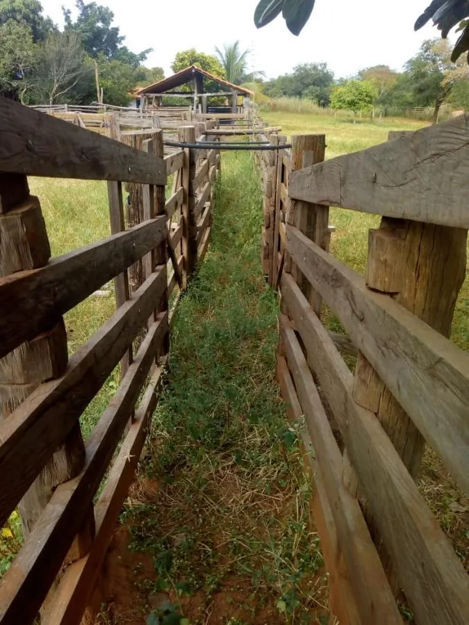 Fazenda à venda de 189 ha em Ponto Chique, MG, Brasil