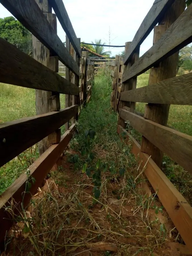 Fazenda à venda de 189 ha em Ponto Chique, MG, Brasil