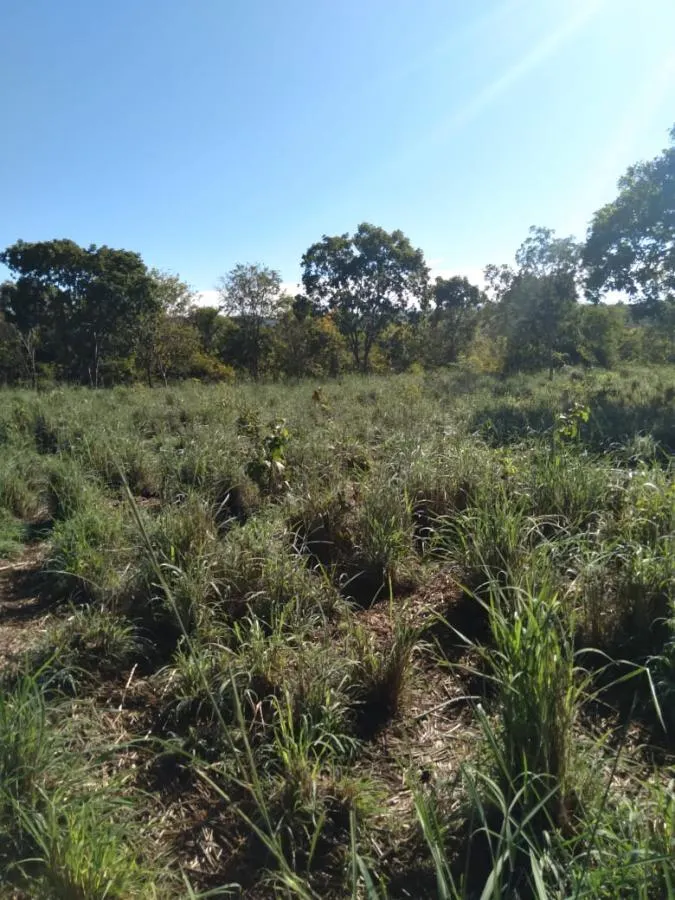 Fazenda à venda de 189 ha em Ponto Chique, MG, Brasil